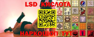 крисы Малоярославец