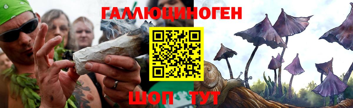 Галлюциногенные грибы GOLDEN TEACHER  Псилоцибиновые грибы Psilocybe  Вход с VPN  Вышний Волочёк 