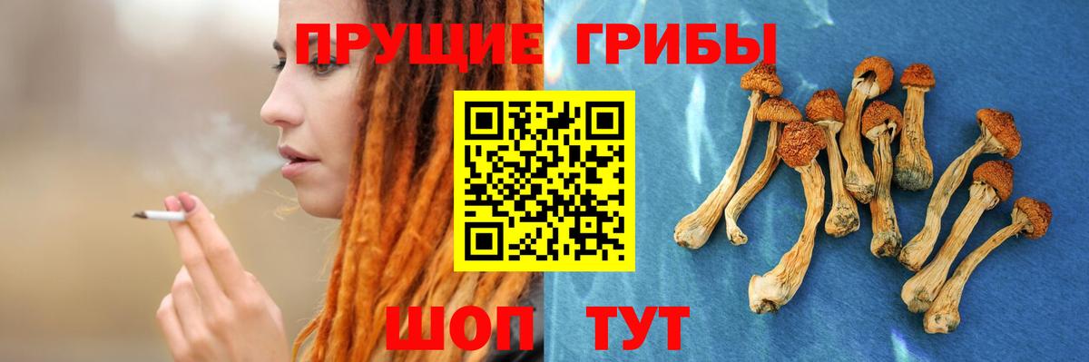 Псилоцибиновые грибы GOLDEN TEACHER Вышний Волочёк